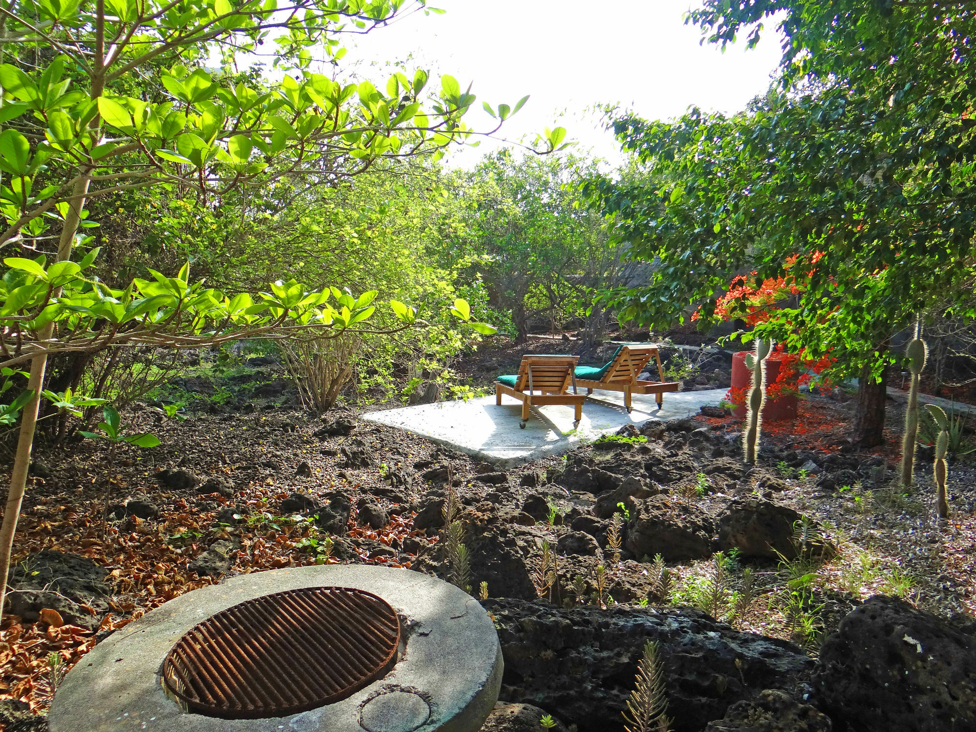 Galapagos Chalet Puerto Ayora  Bagian luar foto