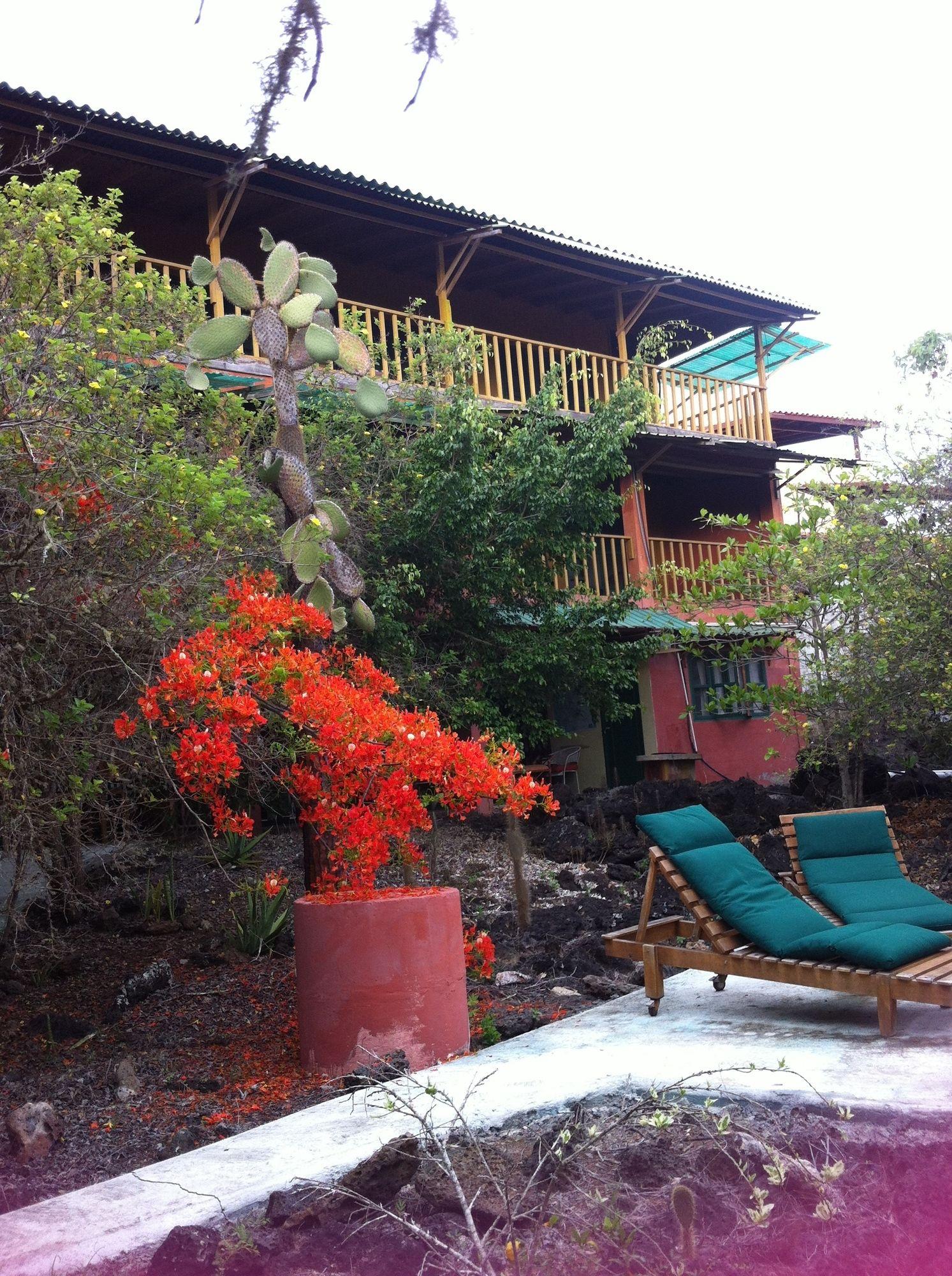 Galapagos Chalet Puerto Ayora  Bagian luar foto