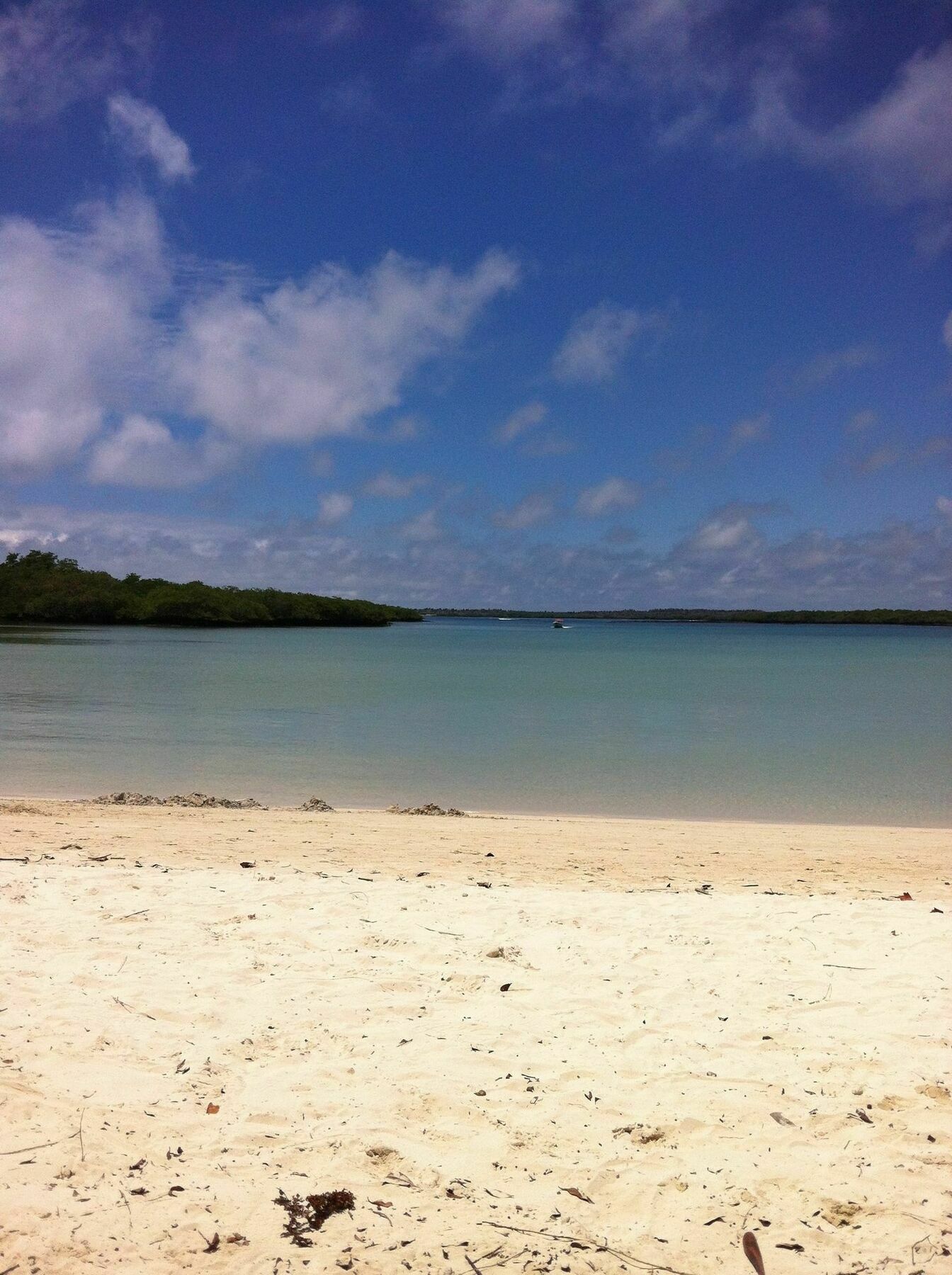 Galapagos Chalet Puerto Ayora  Bagian luar foto